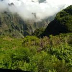 Máster en Humanidades Ecológicas, Sustentabilidad y Transición Ecosocial (Interuniversitario)