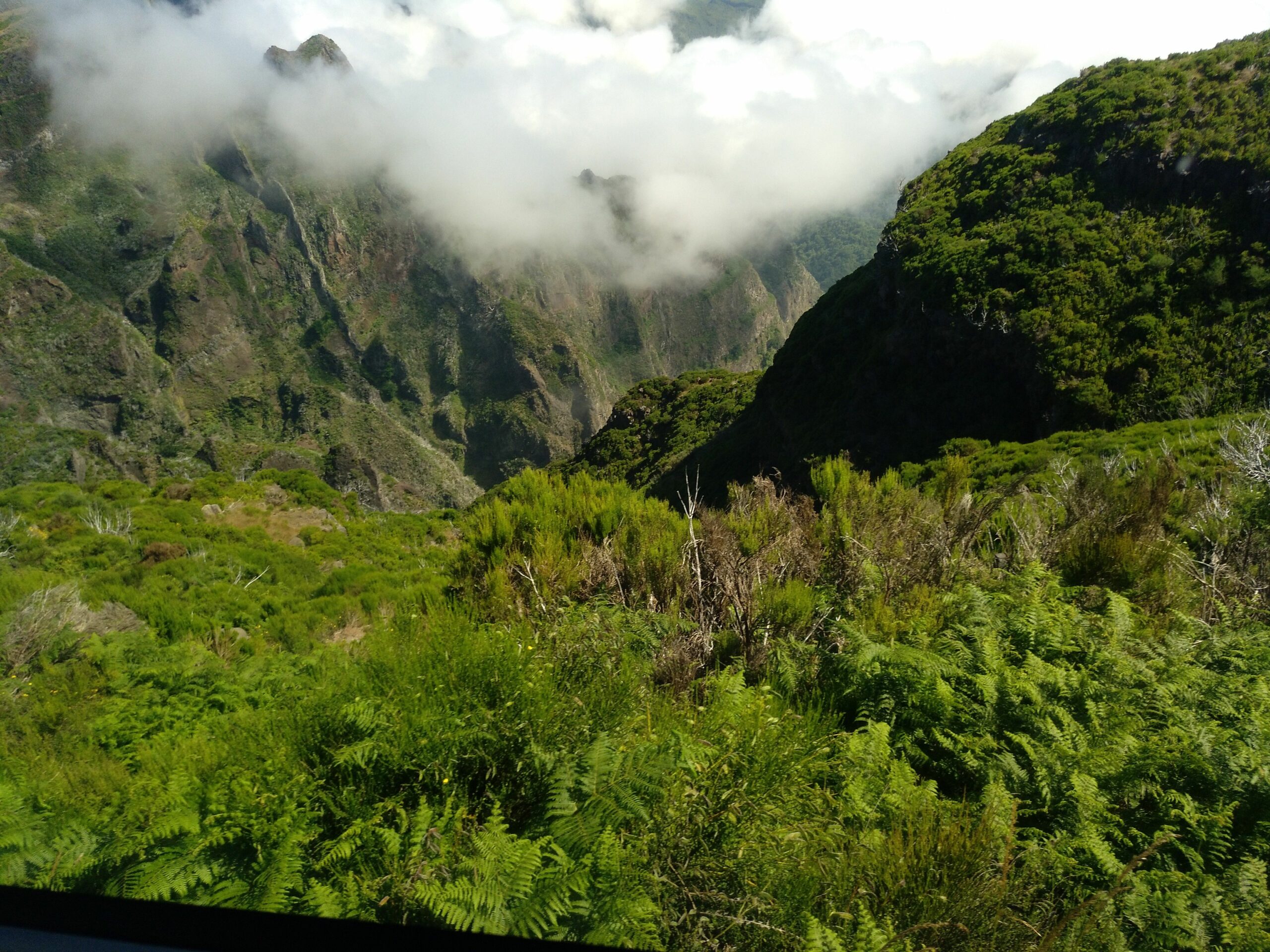 Máster en Humanidades Ecológicas, Sustentabilidad y Transición Ecosocial (Interuniversitario)