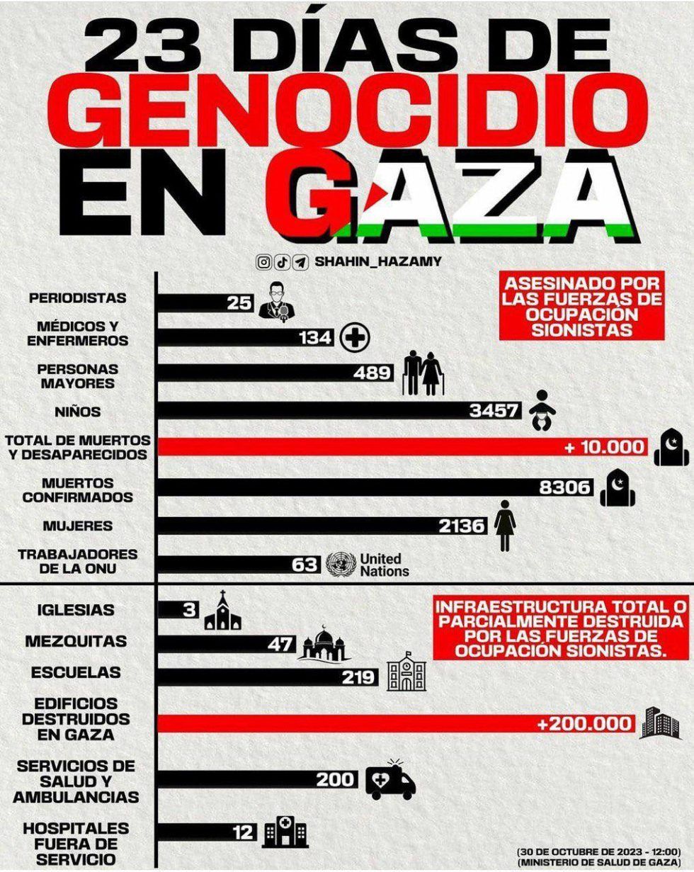 La FADSP llama a parar el holocausto en Gaza