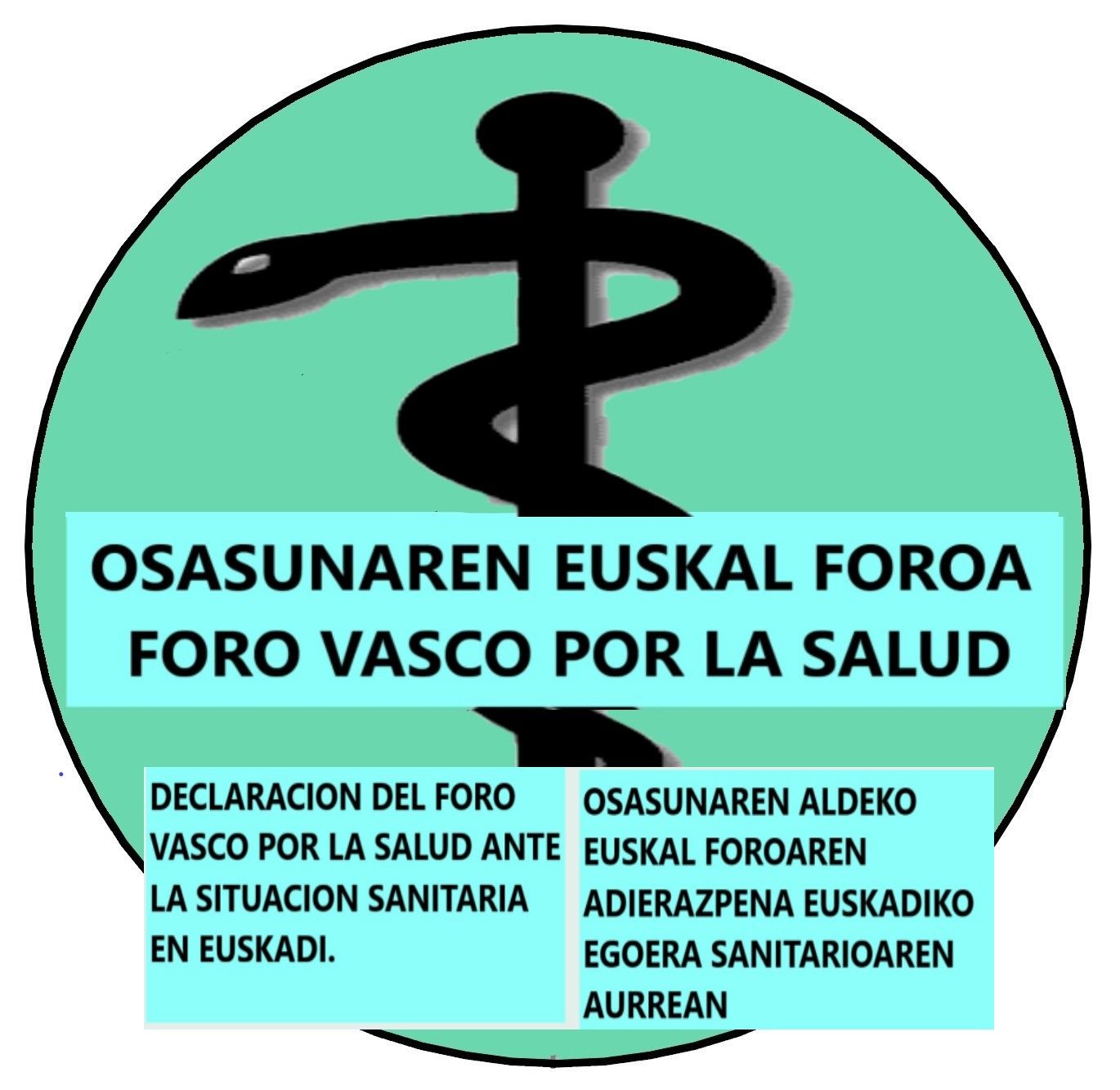 Declaracion Logo Foro Vasco por la Salud 2024